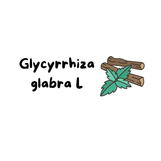 Glycyrrhiza glabra: el regaliz, un aliado natural para el bienestar digestivo de tu mascota.